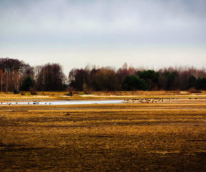 Rekordowo niski poziom wody w zalewie Brodzkim. Remont tamy i jazu Staszica w Brodach