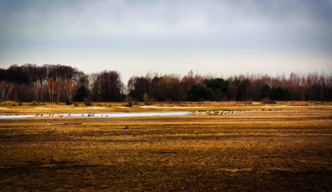 Rekordowo niski poziom wody w zalewie Brodzkim. Remont tamy i jazu Staszica w Brodach