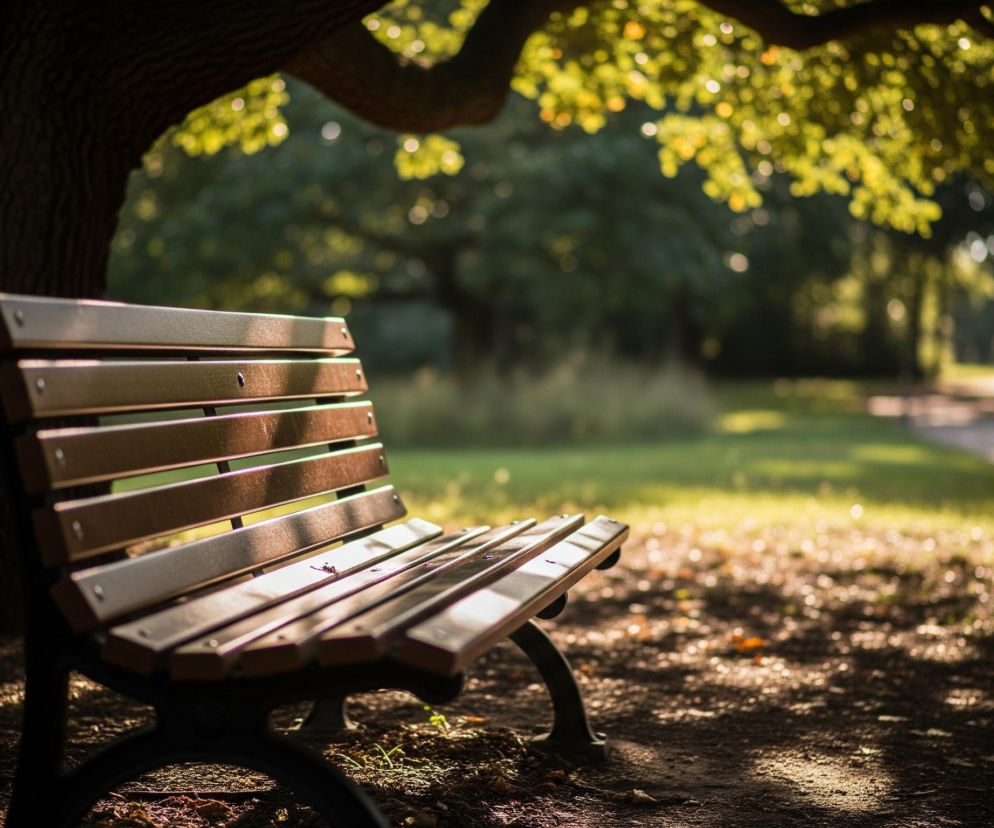 Po lewej stronie kadru znajduje się drewniana ławka z metalowymi, ciemnymi nóżkami, częściowo oświetlona promieniami słońca. Ławka stoi na ciemnej, ziemistej nawierzchni, pokrytej miejscowo opadłymi liśćmi i trawą. Za ławką rośnie potężny, ciemny pień drzewa, a nad nim rozpościera się zielone listowie, częściowo rozświetlone słońcem, tworząc rozmyte plamy światła. W oddali, po prawej stronie, widać niewyraźną postać osoby idącej ścieżką, otoczonej zielenią i dalszymi drzewami w tle.