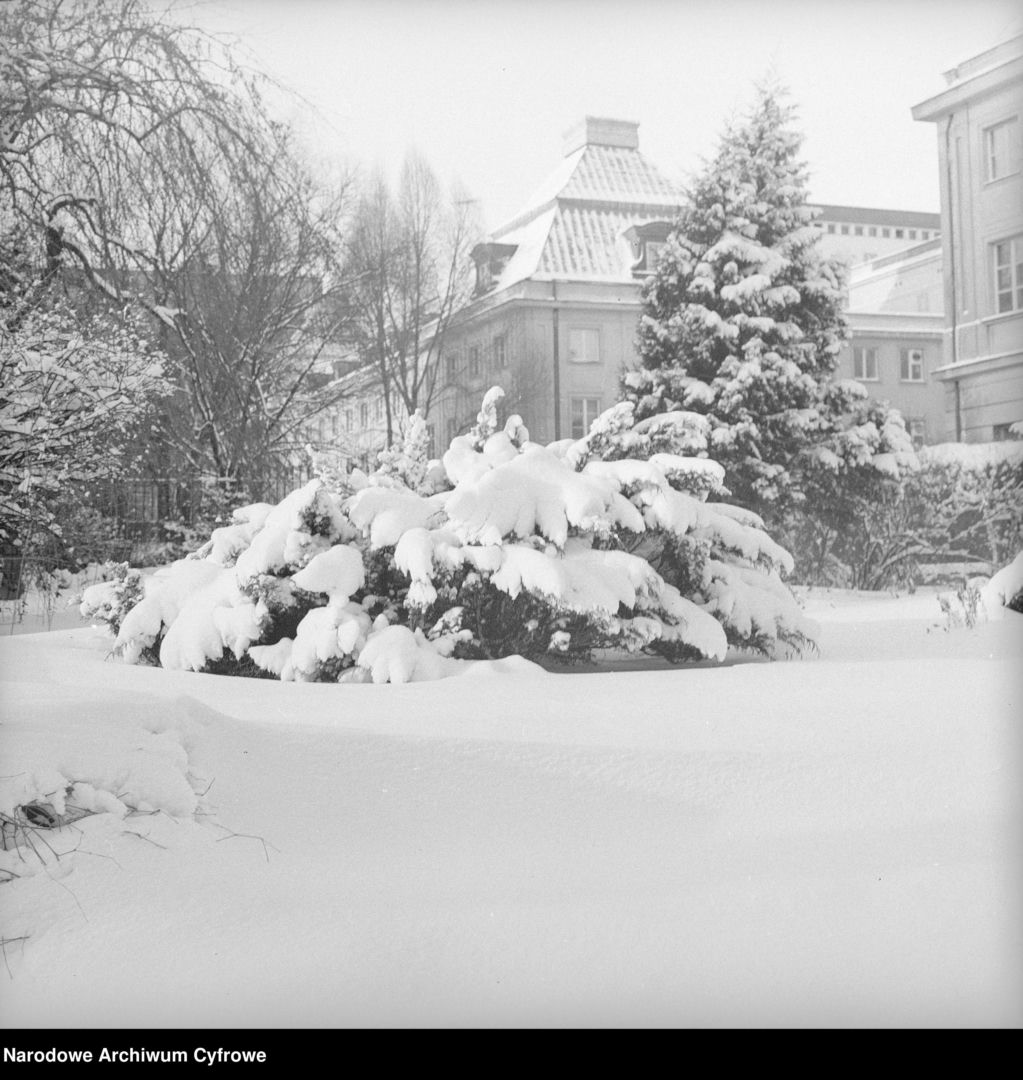 Osiedle Kubusia Puchatka w Warszawie