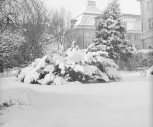 Osiedle Kubusia Puchatka w Warszawie