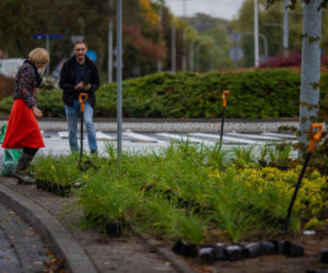 Jakie płuca ma Płock? W niedalekiej przyszłości na pewno zielone