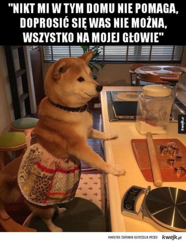  Memy na Dzień Matki 2022 [GALERIA]