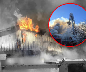 Pożar domków letniskowych w Pogorzelicy. Ponad 50 strażaków walczy z żywiołem