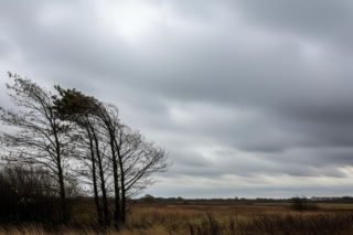 Pogoda Kędzierzyn-Koźle 20.11.2025. Czy mróz naprawdę nadejdzie?