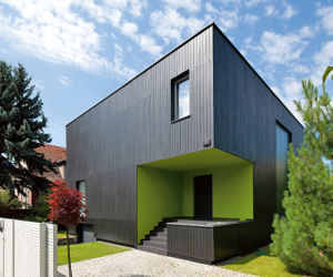 Kostka 6