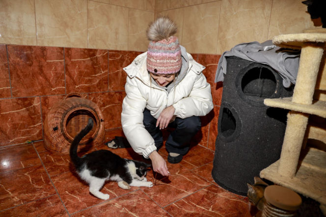 Marta Krupa z pomocą dla zwierząt. Nakarmiła psy i koty w potrzebie