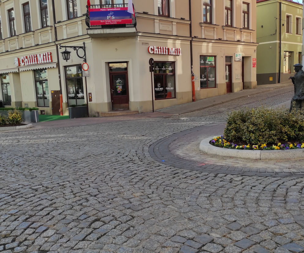 Klomby na ulicy Wałowej w Tarnowie