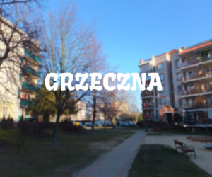 Ul. Grzeczna (os. Leśna Dolina)
