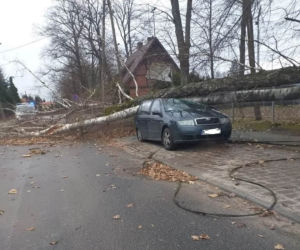 Szkody po Orkanie Eunice. Zrywało dachy, wyrywało grube drzewa, brakowało prądu