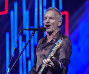 Sting bez miodu nie wystąpi