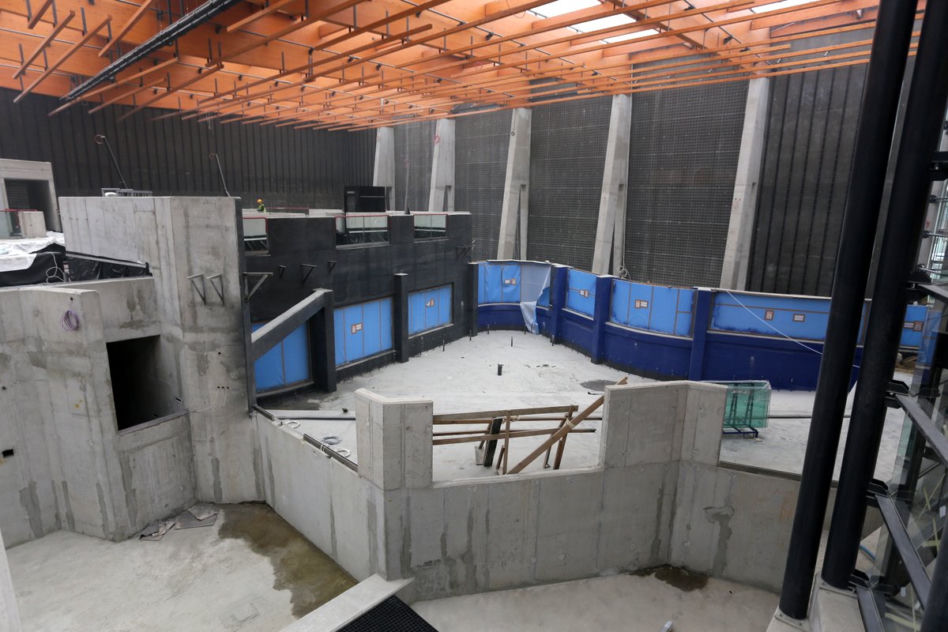 Afrykarium we Wrocławiu. Wnętrze pawilonu