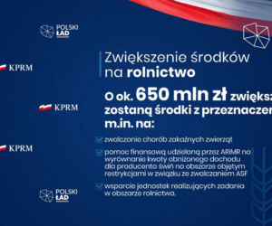 Nowelizacja budżetu: Kto skorzysta na polskim ładzie