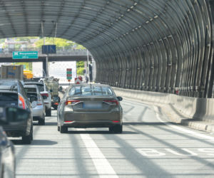 Poseł PiS przejechał 10 km po karmę dla kota