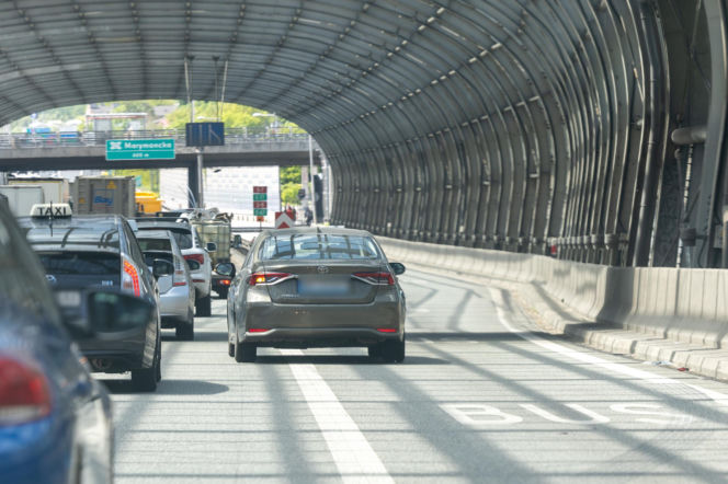 Poseł PiS przejechał 10 km po karmę dla kota