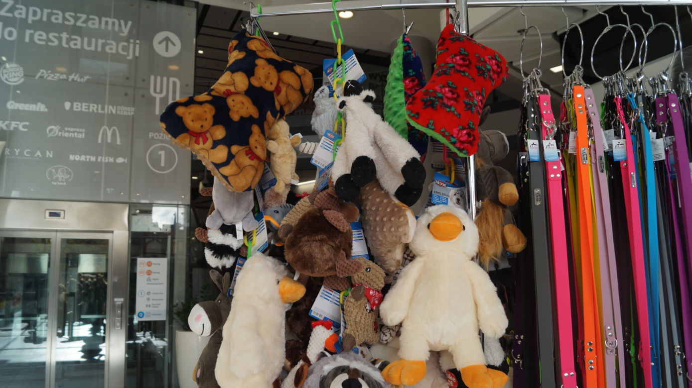 PupiLove Targi w Focus Mall Bydgoszczy [ZDJĘCIA]