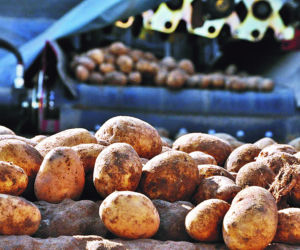 Agro - CN Nidzica
