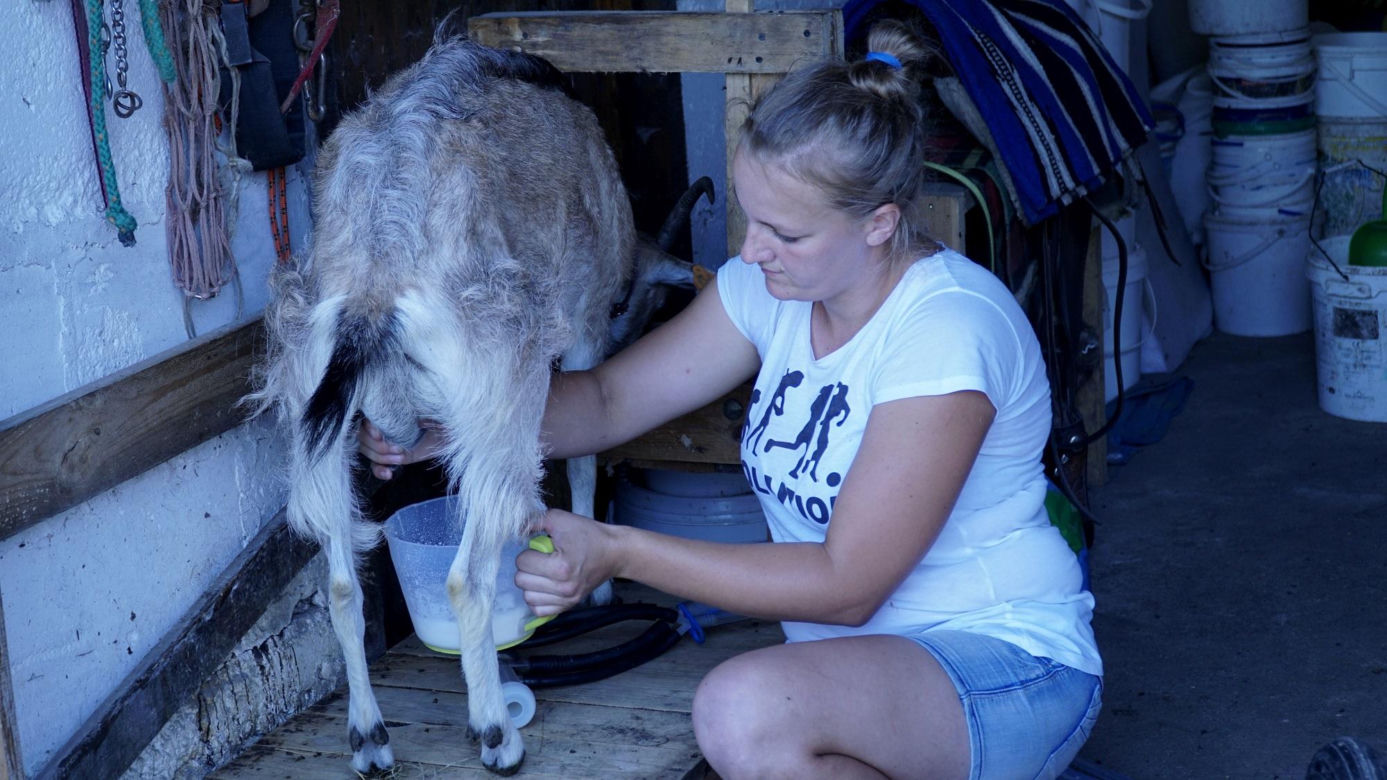 Rolnicy. Podlasie. Tak mieszka Emilia Korolczuk. Zdjęcia z Rancza Laszki