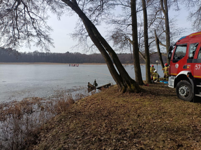 Żubrzyca utknęła na lodzie