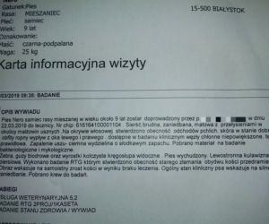 Policja i straż miejska na ul. Szkolnej. Krzysztof K. stracił psa. Nero był wychudzony i zaniedbany