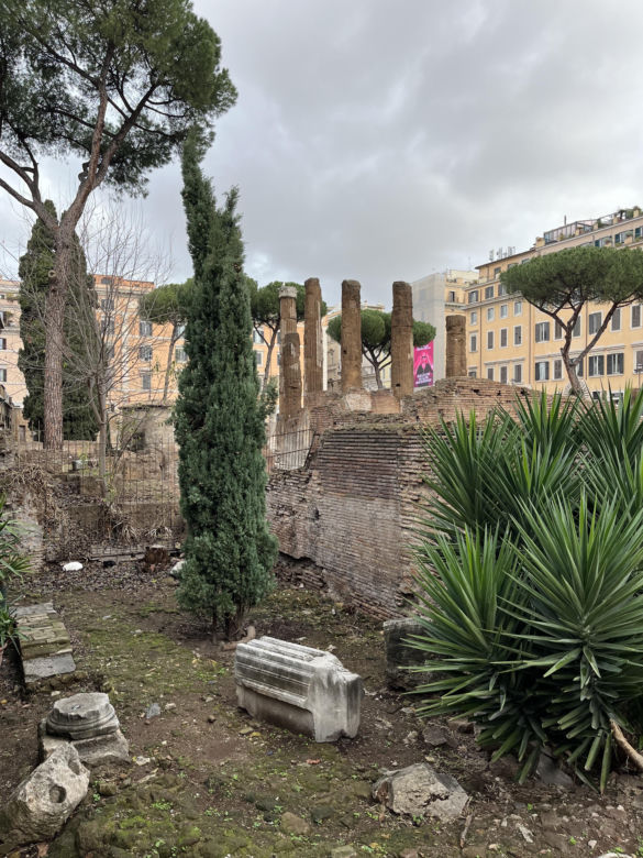 Largo Argentina w Rzymie. Koty zamieszkały w starożytnych ruinach - zobacz zdjęcia