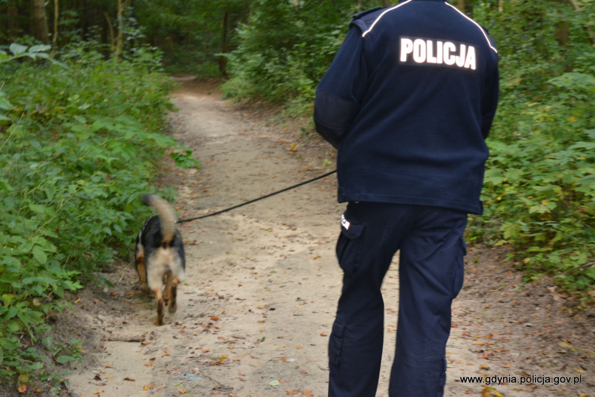 Pies tropiący pomógł uratować zaginionego seniora! [ZOBACZ ZDJĘCIA]