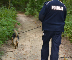 Pies tropiący pomógł uratować zaginionego seniora! [ZOBACZ ZDJĘCIA]