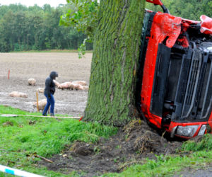ŚMIERĆ POD TIR-EM PRZEWĄŻĄCYM ŚWINIE.