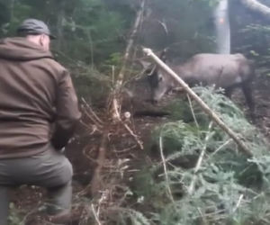 Leśnicy z Dynowa uratowali  sarnę zaplątaną we wnyki [ZDJĘCIA]