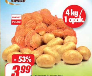 Mega okazje w Dino