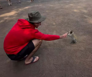 Michał Kassin z chłopakiem na egzotycznych wakacjach w Afryce. Tacy to pożyją?