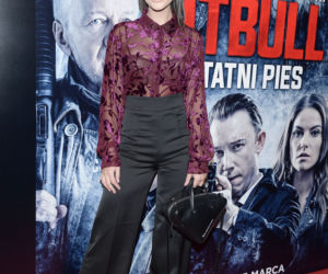 Pitbull.Ostatni pies