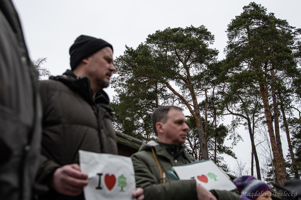 Protest na Barbarce w Toruniu. Społecznicy nie chcą wycinki starych sosen