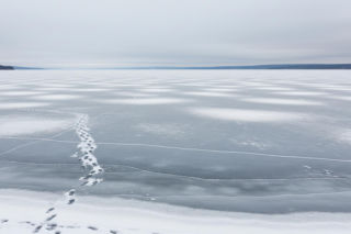 Dożywotni zakaz jazdy i pościg. Jak desperat z Janowa Podlaskiego zagrał ze śmiercią?