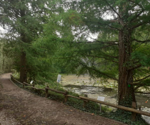 Arboretum Bolestraszyce