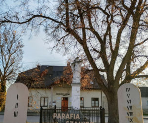 Szaniec. Świętokrzyskie