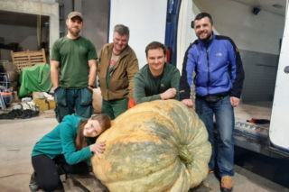Ma 270 kg i trafiła do Zoo w Poznaniu. Ta dynia to GIGANT