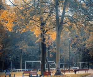 Park Miejski Starachowice