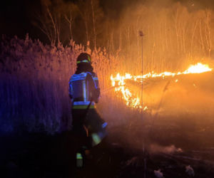 Pożar objął powierzchnię około 11 hektarów nieużytków