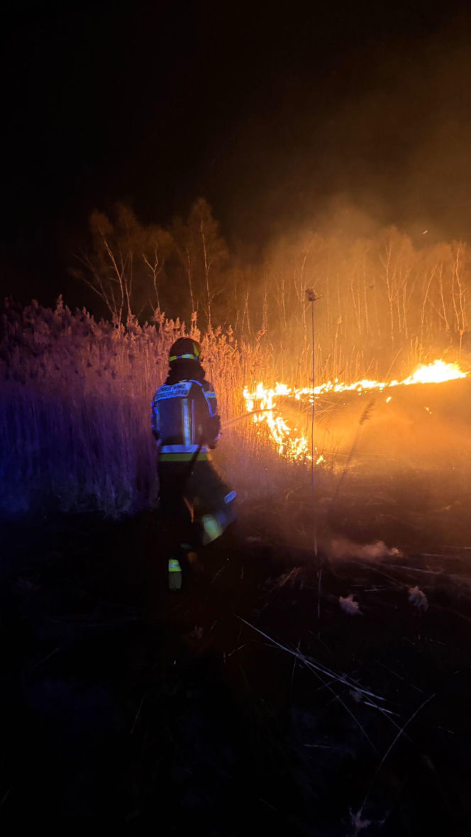 Pożar objął powierzchnię około 11 hektarów nieużytków