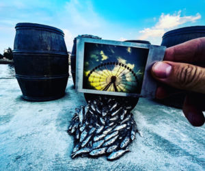 Instaxem przez Szczecin. Ujęcia szczecińskiego fotografa