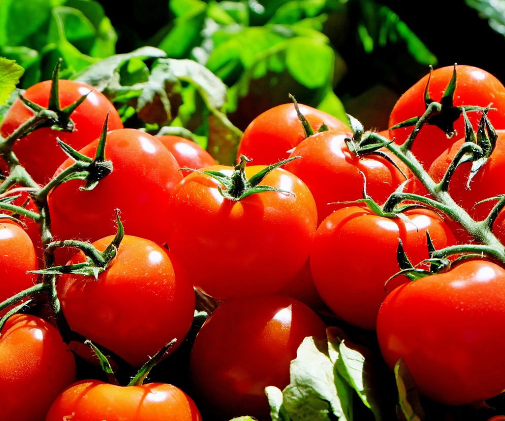 Dieta antyrakowa. Jakie produkty żywnościowe zmniejszają ryzyko zachorowania na nowotwory?