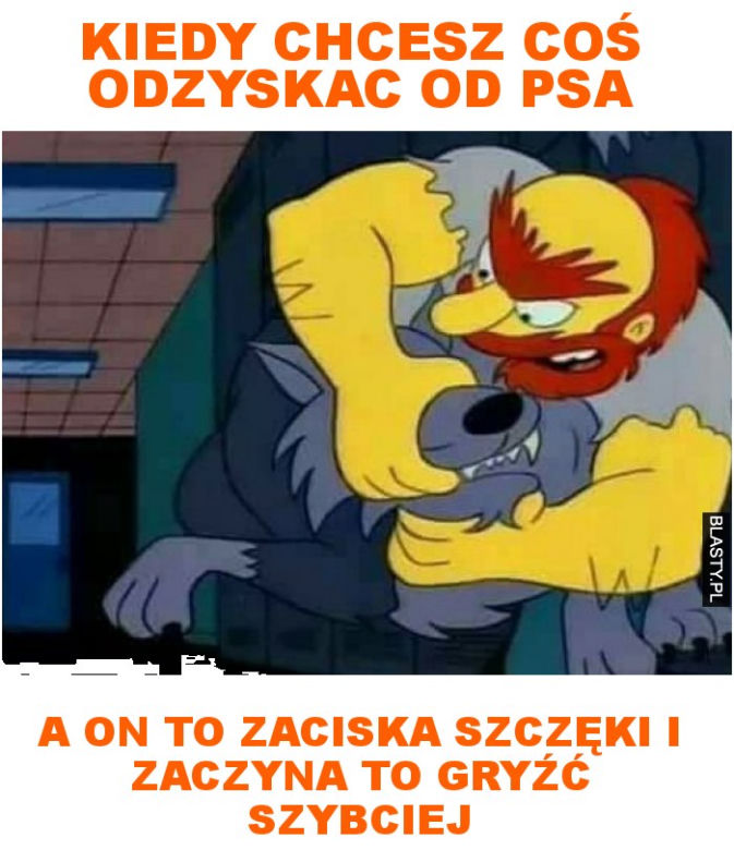 Dzień Psa 2026. Te memy pisało samo życie!