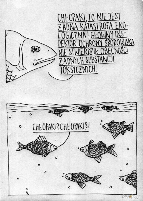 Zatruta Odra. Internauci komentują reakcje rządu [MEMY] 