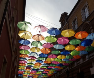 Leszno znów zdobią parasolki. Mienią się nad ul. Wróblewskiego kolorami tęczy