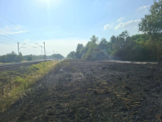 Pożar traw spowodował wstrzymanie ruchu pociągów pomiędzy Mińskiem Mazowieckim i Siedlcami