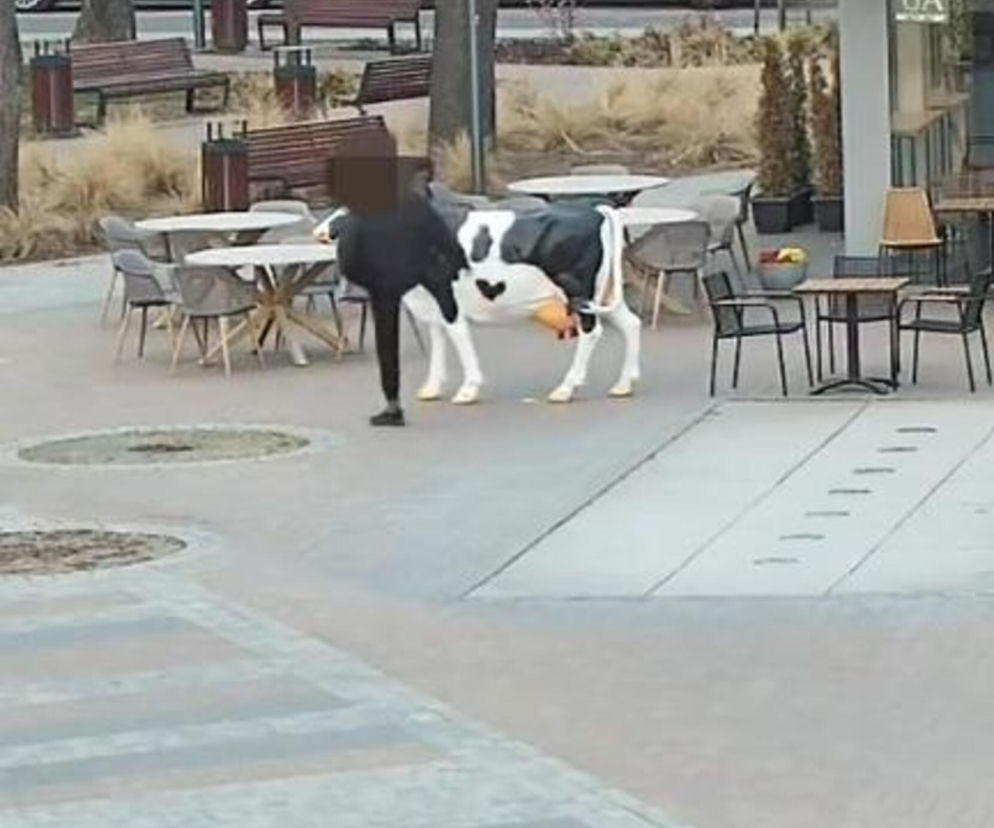 Pijany 29-latek zdemolował figurę krowy w Garwolinie. Później rzucił się na policjantów