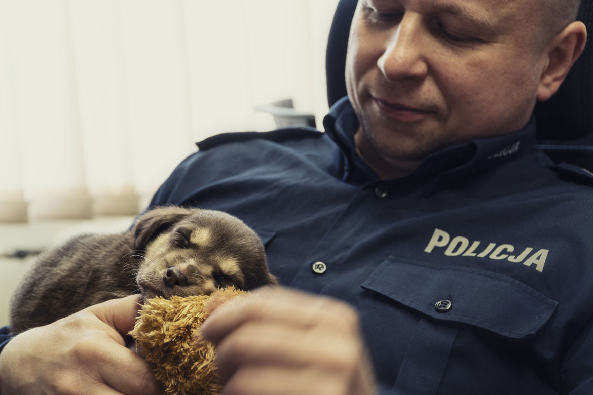 Maleńkie szczeniaczki były bliskie śmierci. Policjanci z Nowego Dworu Gdańskiego pokazali wielkie serca
