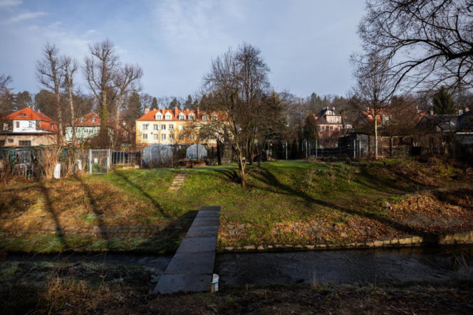 Zabójstwo 11-latki w Jeleniej Górze