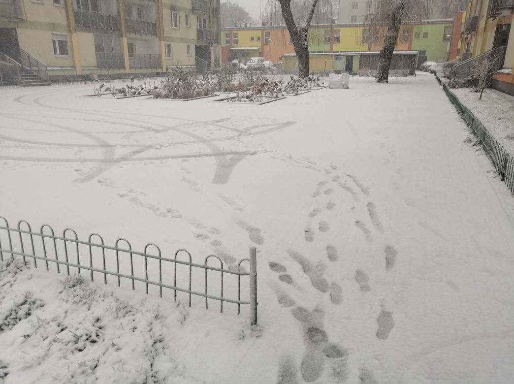 Śnieg zaskoczył Warszawę